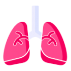 Lungs and airways